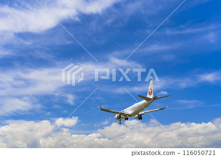 夏季 大阪機場（伊丹機場） 飛機降落大阪府豐中市 116050721