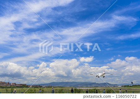 夏季 大阪機場(伊丹機場) 飛機降落大阪府豐中市 夏季 大阪機場(伊丹機場) 飛機降落大阪府豐中市 116050722