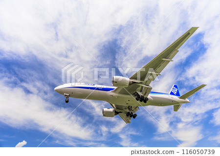 夏季 大阪機場（伊丹機場） 飛機降落大阪府豐中市 116050739