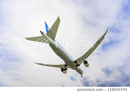 Osaka Airport (Itami Airport) in summer, landing plane, Toyonaka City, Osaka Prefecture Osaka Airport (Itami Airport) in summer, landing plane, Toyonaka City, Osaka Prefecture 116050749
