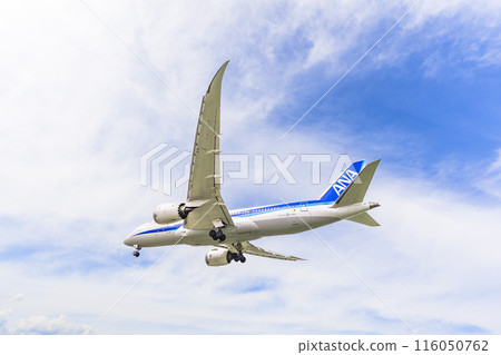 夏季 大阪機場(伊丹機場) 飛機降落大阪府豐中市 夏季 大阪機場(伊丹機場) 飛機降落大阪府豐中市 116050762