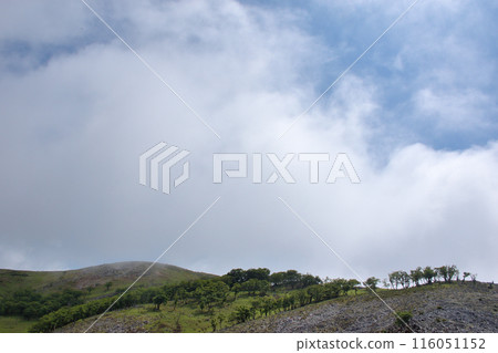 Clouds passing over the ridgeline, a moment of sunshine 116051152