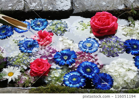 神社的花水 神社的花水 116051194