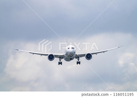 夏季的大阪機場（伊丹機場），飛機著陸，前方，大阪府豐中市 116051195