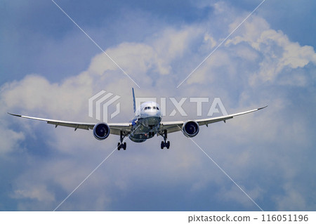 Osaka Airport (Itami Airport) in summer: Landing airplane, front, Toyonaka City, Osaka Prefecture Osaka Airport (Itami Airport) in summer: Landing airplane, front, Toyonaka City, Osaka Prefecture 116051196