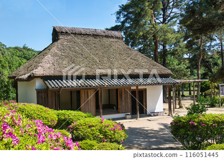 綠樹環繞的老茶館 原鬆井家的正宅 116051445