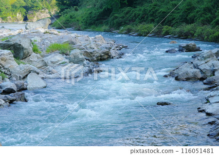 Summer in Nagatoro and the rapids of Kotaki 116051481