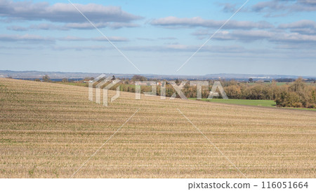 Village of Ardington over flank of Roundabout Hill, West Hendred, Oxfordshire 116051664