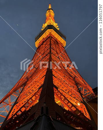 Tokyo Tower at night illuminated 116051797