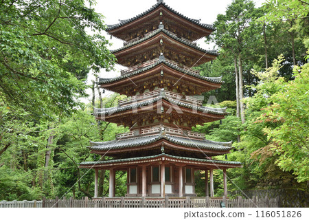 Kaijusenji Temple Five-storied Pagoda [National Treasure] 116051826