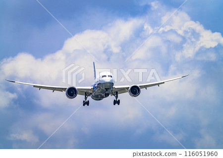Osaka Airport (Itami Airport) in summer, landing plane, Toyonaka City, Osaka Prefecture Osaka Airport (Itami Airport) in summer, landing plane, Toyonaka City, Osaka Prefecture 116051960