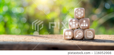 Wooden blocks with data mining icons on a natural background, symbolizing data analysis, storage, and network concepts. 116052008
