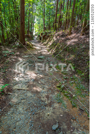 奈良縣山邊道山區 116052050