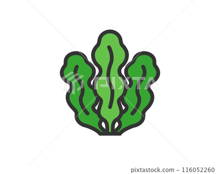 海藻圖示插圖(畫線顏色) 海藻圖示插圖(畫線顏色) 116052260