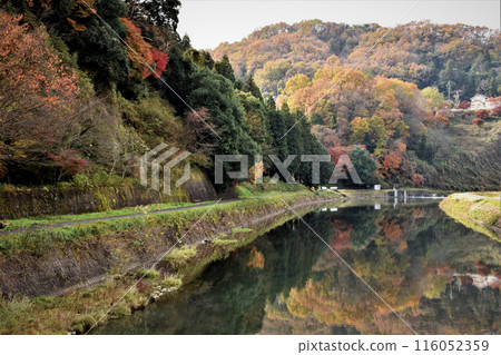 秋天的樹葉倒影，秋天的景色 116052359