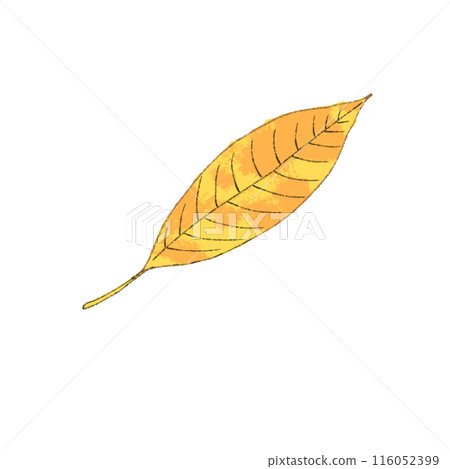 Autumn yellow leaves 116052399