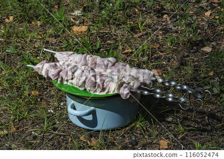 Pieces of fresh meat strung on a skewer lie on a plate Pieces of fresh meat strung on a skewer lie on a plate 116052474