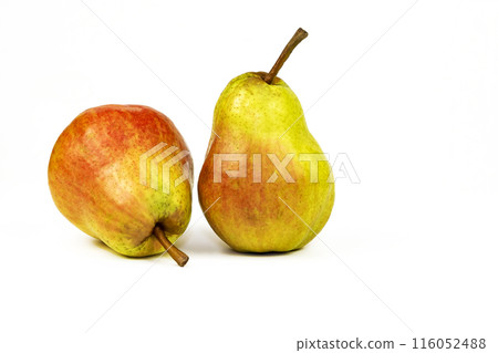 Two large ripe pears on a white background 116052488