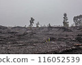 Lava plateau 116052539