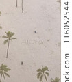 Waikiki Beach 116052544