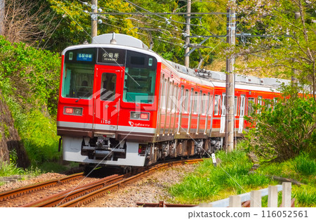 Odakyu Hakone Railway Line Odawara ⇔ Hakone Yumoto 1000 series 116052561