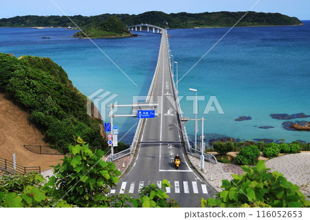 Tsunoshima Bridge 1140+ 116052653