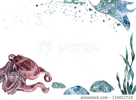 Watercolor and ink hand drawn marine life, sea ocean underwater creatures. fish, shells algae seaweed. Border frame illustration, stylized, isolated on white. For zoo shop, aquarium, cosmetics, resort Watercolor and ink hand drawn marine life, sea ocean underwater creatures. fish, shells algae seaweed. Border frame illustration, stylized, isolated on white. For zoo shop, aquarium, cosmetics, resort 116052728