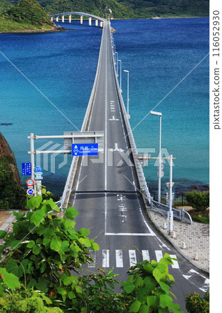 Tsunoshima Bridge 1033+ 116052930