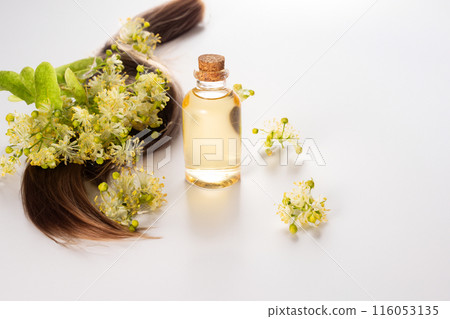 Linden blossom flowers and essential oil. Hair treatment concept. Close up. Copy space 116053135