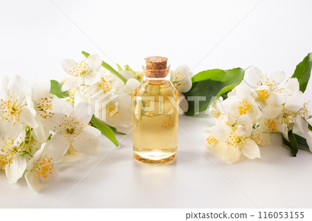 Jasmine essential and Jasmine flowers on white background. Hair treatment concept. Close up 116053155