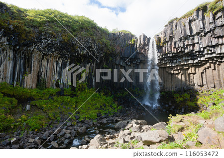 Svartifoss falls in summer season view, Iceland 116053472