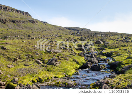 Mjoifjordur rural landscape, east Iceland. Icelandic panorama Mjoifjordur rural landscape, east Iceland. Icelandic panorama 116053526