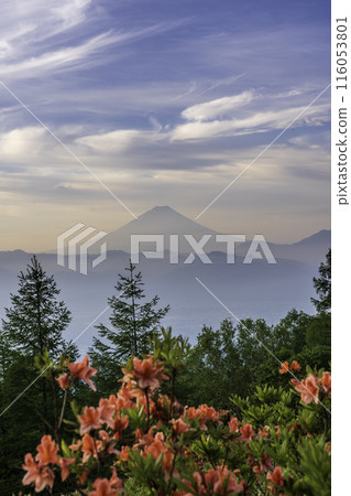 Ariyama in the morning from azalea and Mt. Fuji 116053801