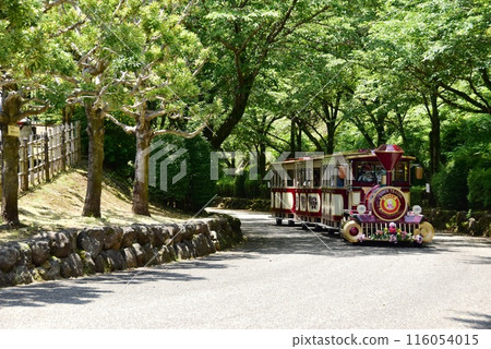 Road train and tour route at Kanagawa Prefectural Aikawa Park 116054015