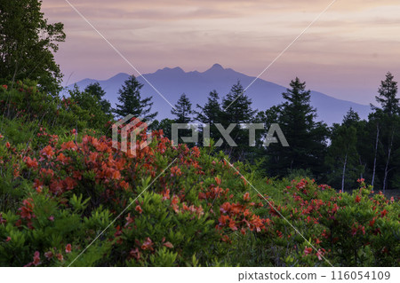 從Rengetsutsuji和Yatsugatake早上Ariyama 從Rengetsutsuji和Yatsugatake早上Ariyama 116054109