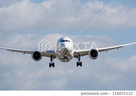 飛機降落在大阪伊丹機場 116055122