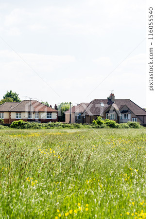 A row of houses with triangular roofs and a field of yellow flowers blooming under bright sunlight with white clouds floating in the sky, in the suburbs of London 116055540