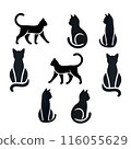Shadow style cat icon 116055629