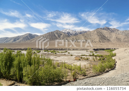 Ladakh, India - Oases of the Indus River Basin and the Zanskar Range 116055734