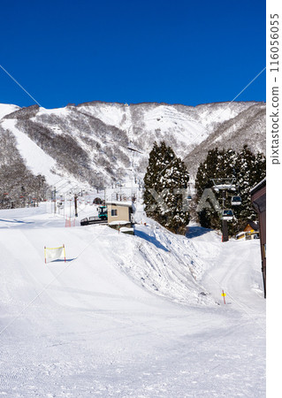 白馬五龍滑雪場、長野縣北安町白馬村、白馬五龍纜車 116056055