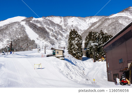 Hakuba Village, Kitaazumi District, Nagano Prefecture, Hakuba Goryu Ski Resort, Hakuba Goryu Telecabin 116056056