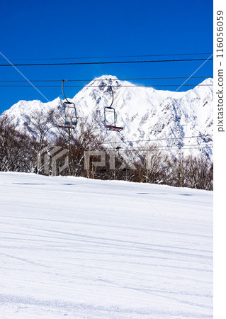 從長野縣北安郡白馬村白馬五龍滑雪場看到的五龍山（武田菱） 116056059