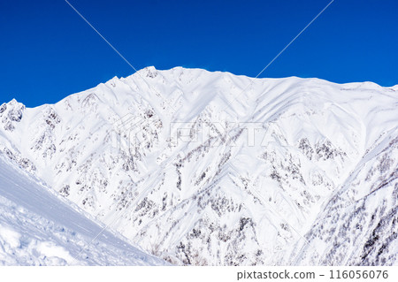 從長野縣北安郡白馬村白馬五龍滑雪場看到的八方尾根（唐松岳） 116056076