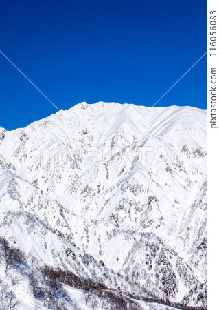 長野縣北安曇郡白馬村北阿爾卑斯山富山地藏山的八方尾根（唐松岳） 116056083