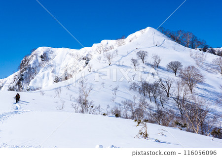 Hakuba Village, Nagano Prefecture, Mount Kotomi in the Northern Alps, Snow Mountain Climbing, Mount Kotomi seen from Ichinosae 116056096