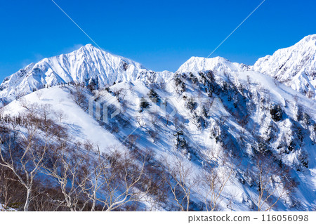 長野縣白馬村、北阿爾卑斯的琴美山、雪山登山、從二之瀨看到的鹿島矢裡岳、八峰基列 長野縣白馬村、北阿爾卑斯的琴美山、雪山登山、從二之瀨看到的鹿島矢裡岳、八峰基列 116056098