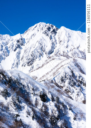 Hakuba Village, Nagano Prefecture, Mount Kotomi in the Northern Alps, Snow Mountain Climbing, Mount Goryu seen from the summit of Mount Kotomi (Takeda Hishi) Hakuba Village, Nagano Prefecture, Mount Kotomi in the Northern Alps, Snow Mountain Climbing, Mount Goryu seen from the summit of Mount Kotomi (Takeda Hishi) 116056111