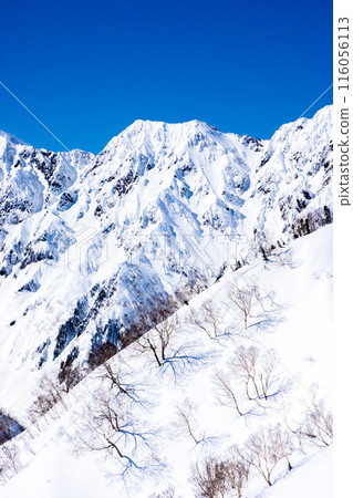長野縣白馬村、北阿爾卑斯山的琴見山、雪山登山、從琴見山頂看到的八方基列 長野縣白馬村、北阿爾卑斯山的琴見山、雪山登山、從琴見山頂看到的八方基列 116056113