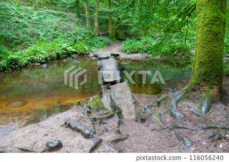 The Old red bridge in the forest of Huelgoat The Old red bridge in the forest of Huelgoat 116056240