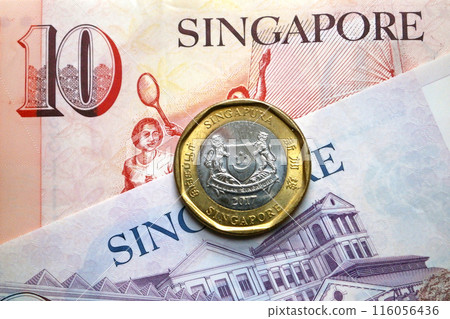 Coin and Singaporean dollar banknotes 116056436
